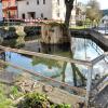 Sobald das Amt für Landwirtschaftliche Entwicklung grünes Licht gibt, wird die Sanierung des Weihers und seines Umfeldes in Stammheim beginnen.