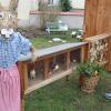 Neben dem Osterweg schmücken außerdem wieder die Osterhasen aus Stroh und Figuren die Traustädter Ortsmitte. Neben dem Osterweg schmücken außerdem wieder die Osterhasen aus Stroh und Figuren die Traustädter Ortsmitte.