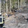 Waldbrand bei Partenstein.