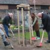Baumpflanzaktion zum Tag des Baumes in Wernfeld: (von links) Annneliese Max, Doris Brönner, Ferdinand Zoller, Landrätin Sabine Sitter und Bürgermeister Jürgen Lippert.
