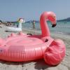 Der Brexit und ein Rückstau bei den Reisepass-Anträgen bedrohen derzeit den Sommerurlaub vieler Britinnen und Briten.