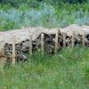 Steinschüttungen und Totholz-Haufen dienen Zauneidechsen als Versteckmöglichkeiten. Steinschüttungen und Totholz-Haufen dienen Zauneidechsen als Versteckmöglichkeiten.