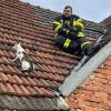 Rettungsaktion in Prichsenstadt: Eine zehn Monate alte Katze hatte sich auf das Dach des Gasthauses "Zum Storch" verirrt und kam nicht weiter – die Feuerwehr, dein Freund und Tierretter, war schnell zur Stelle.