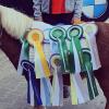 Schleifenpony Jappie.
