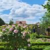 Herrliche Rosensträucher entfalten im Garten von Martin und Christa Schlegelmilch ihre Pracht. Herrliche Rosensträucher entfalten im Garten von Martin und Christa Schlegelmilch ihre Pracht.