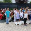 Boten ein abwechslungsreiches Programm: Chor und Orchester des MGV Wiesentheid. Boten ein abwechslungsreiches Programm: Chor und Orchester des MGV Wiesentheid.