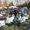 Die Ausstellung "Gartenlust" mit Verkaufsschau wird  auch in diesem Jahr wieder viele Besucher in den Schlosspark nach Rüdenhausen locken (Archivbild von 2019).