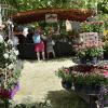 Viele unterschiedliche Rosensorten, aber auch viele andere blühende Pflanzen wurden auf der Rosen- und Gartenmesse in Königsberg angeboten.