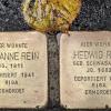 Symbolbild: Stolpersteine in der Würzburger Ludwigstraße 29. Am Montag werden in Würzburg wieder Stolpersteine zum Gedenken an die Opfer der NS-Gewalt verlegt.