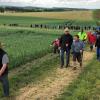 In Wülfershausen waren bis zu 100 Teilnehmerinnen und Teilnehmer beim Grenzgang dabei, um die knapp 17 Kilometer lange Gemarkungsgrenze rund um das Dorf zu Fuß zu erkunden.