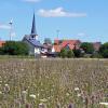 Auf dieser Fläche soll das künftige Baugebiet am Ortsrand von Dipbach noch in diesem Jahr erschlossen werden.
