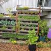 Führungen durch die Urban-Gardening-Demogärten gibt es auch in Bamberg.
