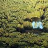 Einsamer See im Schwebheimer Wald Einsamer See im Schwebheimer Wald