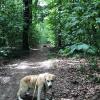 Spaziergang an der Peterstirn in Schweinfurt: Hier ist es kühler als in der Stadt. Tut Hund, Herrchen und Frauchen gut. Spaziergang an der Peterstirn in Schweinfurt: Hier ist es kühler als in der Stadt. Tut Hund, Herrchen und Frauchen gut.