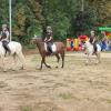 Ein besonderes Highlight am Sommerfest war die Pferdeshow. Ein besonderes Highlight am Sommerfest war die Pferdeshow.