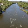 Das Hauptfeld beim Mainfrankentriathlon begleitet von SUPs, einem Rettungsboot und einem RWC. Das Hauptfeld beim Mainfrankentriathlon begleitet von SUPs, einem Rettungsboot und einem RWC.