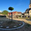 Für die neuen Grabarten wie Urnengräber und Baumbestattungen musste eine neue Friedhofssatzung für die gemeindlichen Friedhöfe in Oberschwarzach und Siegendorf erstellt werden. Für die neuen Grabarten wie Urnengräber und Baumbestattungen musste eine neue Friedhofssatzung für die gemeindlichen Friedhöfe in Oberschwarzach und Siegendorf erstellt werden.