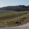 Durch die Flächenhöchstgrenze der Gemeinde wäre das Bürgerphotovoltaik-Projekt in der "Hasenleite" an der Staatsstraße 2274 mit rund 42 ha vom Tisch wäre. Durch die Flächenhöchstgrenze der Gemeinde wäre das Bürgerphotovoltaik-Projekt in der "Hasenleite" an der Staatsstraße 2274 mit rund 42 ha vom Tisch wäre.