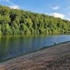 Die Wasserqualität des Burgwallbacher Badesees soll verbessert werden. Allerdings wurde ein Ablassen des Sees ausgeschlossen.