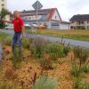 Von der blumengeschmückten östlichen Einfahrt von Riedenheim führt der Weg, den Bürgermeister Edwin Fries weist, auf den wenige Meter entfernt liegenden Erholungsplatz.