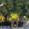 Trainer Marco Wildersinn kann beim Gastspiel der Würzburger Kickers in Illertissen wieder auf Rechtsverteidiger Thomas Haas zurückgreifen. 