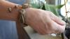Üppig gearbeitet ist dieses Damenarmband aus Frauenhaar. Üppig gearbeitet ist dieses Damenarmband aus Frauenhaar.