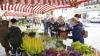 Herbstliche Pflanzen fanden Interesse beim Rosenkranzmarkt. Herbstliche Pflanzen fanden Interesse beim Rosenkranzmarkt.