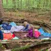 Entspannen bei der Waldtraumreise.