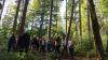 Die Entwicklung von Wald und Bäumen haben sich Politiker und Verbandsvertreter am Freitag in Lohr angeschaut. 