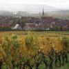 Der Verwendung der geographischen Ursprungsbezeichnungen exponierter Weinlagen sind die Winzer in Sommerach einen Schritt näher gekommen. Der Gemeinderat bewilligte am Montag den Antrag des Weinbau- und Tourismusverbands Sommerach, 16 Gewanne in die Weinbergsrolle eintragen zu lassen.