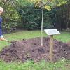 Oberbürgermeister Joël Bruneau (von links) und Bürgermeister Martin Heilig pflanzten eine Linde im Würzburg-Garten auf dem Parkgelände der Colline aux Oiseaux als Symbol der langjährigen Freundschaft zwischen den beiden Städten.