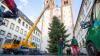 Am Würzburger Dom wurde der Weihnachtsbaum am Donnerstag, 10. November 2022 aufgestellt.