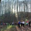 Bestes Rhöner Wanderwetter mit blauem Himmel, eine große fröhliche Wandergruppe und eine schöne Strecke, das waren die besten Komponenten für einen gelungenen Sonntagsausflug. Die Aufnahme entstand zwischen Schafweg und Kreuzbergschanze, wo der Weg die Kniebreche kreuzt.