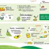 Zeichnerische Zusammenfassung der Biosphärentagung. Hier abgebildet das Thema "Landwirtschaft und Tourismus". Zeichnerische Zusammenfassung der Biosphärentagung. Hier abgebildet das Thema "Landwirtschaft und Tourismus".