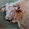 "Stier aus der Normandie" von Kristīne Šķipsna-Halbleib. "Stier aus der Normandie" von Kristīne Šķipsna-Halbleib.