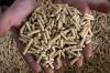 Beliebte Alternative zu Öl oder Gas: Pellets. Bei der Förderung von Heizungen mit diesem Brennstoff gibt es Änderungen.