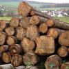 Am Rügheimer Weg in Humprechtshausen ist das Stammholz der vom Käfer befallenen Fichten aus dem Gemeindewald von Riedbach bis zum Abtransport zwischengelagert.