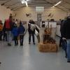 Über 50 Ausstellerinnen und Aussteller stellten mehr als 800 Tiere in ihren Rassen und Farbenschlägen zur Schau.