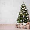 Nachhaltiges unter dem Weihnachtsbaum – wir geben Tipps.
