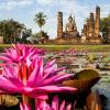 Rote Seerosen (Nymphaea rubra) im Teich im  Geschichtspark Sukhothai, einem Weltkulturerbe der Unesco, in Nordthailand.
