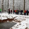 Beim Waldbegang des Steinfelder Gemeinderates standen Feuchtbiotope, Biotopbäume und verschiedene Wiederaufforstungsflächen im Mittelpunkt.