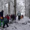 Bei Ausflügen durch den Winterwald gibt es immer etwas Neues zu entdecken.