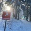 Die Loipen in den Schwarzen Bergen werden im Landkreis Bad Kissingen an den nächsten Tagen nicht gespurt.