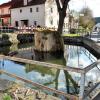 Der Weiher und sein Umgriff in Stammheim wird nach dem Weinfest saniert. Der Weiher und sein Umgriff in Stammheim wird nach dem Weinfest saniert.