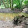 In Zeiten von Klimawandel und extremer Trockenheit sind für Tiere Stellen wichtig, die zuverlässig Wasser führen. In Zeiten von Klimawandel und extremer Trockenheit sind für Tiere Stellen wichtig, die zuverlässig Wasser führen.