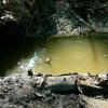 Feuchtbiotope bieten unter anderem Amphibien einen Lebensraum. Feuchtbiotope bieten unter anderem Amphibien einen Lebensraum.