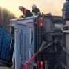 Nach dem Unfall eines Viehtransporters auf der Autobahn 7 hielten freilaufende Rinder die Feuerwehr auf Trab.