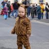 Keine Angst vor kleinen Tieren: Dieser Leopard ließ sich beim Faschingszug in Sömmersdorf blicken. Keine Angst vor kleinen Tieren: Dieser Leopard ließ sich beim Faschingszug in Sömmersdorf blicken.