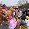 Besonders die kleinen Zuschauer staunten über die großen Dinosaurier, die durch die Straße zogen.