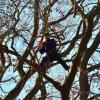 Durch den Waldderlebnisweg führte Harald Lurz in Holzkirchhausen. Ziel war auch die über 250 Jahre alte Königsbuche. Hier wartete Baumkletterer Andreas Schätzlein schon mit seinem Mitarbeiter Alex auf die Gruppe, um mit ihnen die Königsbuche zu erklären. Durch den Waldderlebnisweg führte Harald Lurz in Holzkirchhausen. Ziel war auch die über 250 Jahre alte Königsbuche. Hier wartete Baumkletterer Andreas Schätzlein schon mit seinem Mitarbeiter Alex auf die Gruppe, um mit ihnen die Königsbuche zu erklären.